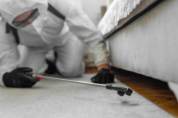 Professional Cockroach Control technician working in Hamburg, NJ