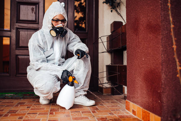 Reliable Cockroach Control contractor in Hamburg, NJ by Nex Pest Control